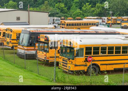 Horizontale Aufnahme von vielen Schulbussen in einem Schulbuslager. Stockfoto