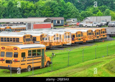 Horizontale Aufnahme von Schulbussen in einem Schulbuslager. Stockfoto