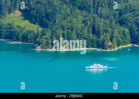 Sankt Gilgen: Passagierschiff auf dem Wolfgangsee im Salzkammergut, Salzburg, Österreich Stockfoto