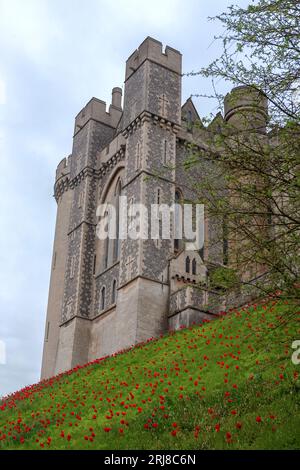 Die südöstliche Höhe des spektakulären Arundel Castle, Arundel, West Sussex, England, Vereinigtes Königreich, mit Anpflanzungen von Oxford-Tulpen, die den Vordergrund bedecken Stockfoto
