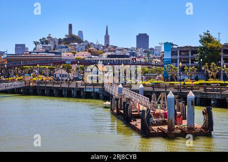 Blick auf die Stadt San Francisco und den Coit Tower vom Pier und der Bucht Stockfoto