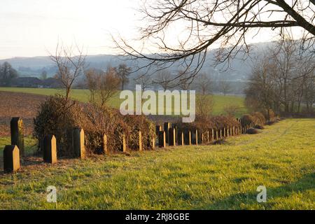 WW2 wurden in der Schweiz Metallschienen als Anti-Panzer-Hindernisse und militärisch befestigte Schutzvorrichtungen in Reihe gebaut. Stockfoto