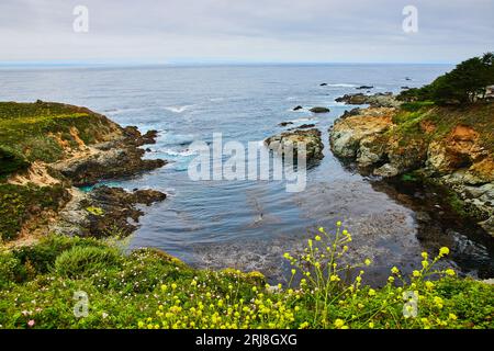 Gelbe und violette Wildblumen auf Klippen mit Blick auf eine kleine Bucht mit rauschenden Meereswellen Stockfoto
