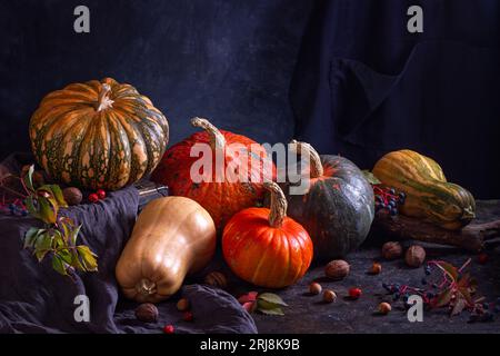 Stillleben im Herbst mit verschiedenen Kürbissen - cucurbita Früchte in verschiedenen Farben und Größen mit Nüssen und Beeren. Konzept des Thanksgiving-Tages mit sp Stockfoto
