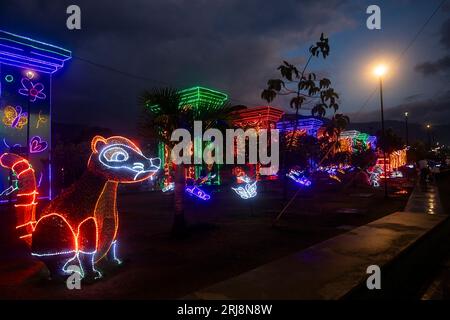 Medellin, Antioquia. Kolumbien - 11. Januar 2023. Die Weihnachtsbeleuchtung kehrt mit ihren schönen Designs zurück. Stockfoto