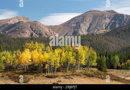 Der Herbst liegt in der Rawah Mountain Range im Norden von Colorado. Der Lewis Peak ist 12.654 Meter hoch, der höchste Berg der Rawah Range ist der 12.949 Meter hohe Clark Peak. Stockfoto