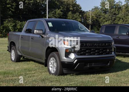 West Harrison - 20. August 2023: Chevrolet Silverado 1500 in einem Händlerbetrieb. Chevy bietet den Silverado in WT, Trail Boss, LT, RST und Custom m an Stockfoto