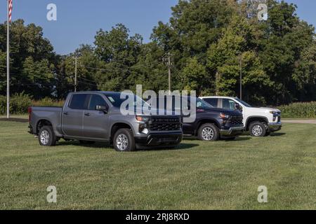 West Harrison - 20. August 2023: Chevrolet Silverado 1500 in einem Händlerbetrieb. Chevy bietet den Silverado in WT, Trail Boss, LT, RST und Custom m an Stockfoto