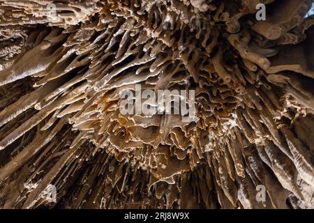 Felsformationen in den Lehman Caves im Great Basin National Park, Nevada Stockfoto