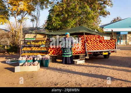 afrikanischer Straßenverkäufer im Dorf am Straßenrand, der Obst, Orangen, Bananen, Erdnüsse, Bohnen, Affenorangen, von der Seite einer sma Stockfoto