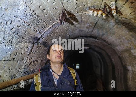 Explorer im unterirdischen Tunnel, der Fledermäuse sieht. Stockfoto