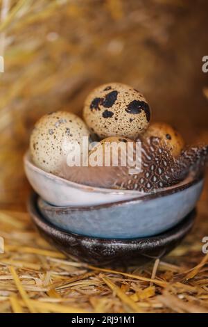 Wachteleier mit Federn in Tonbechern, die im Strohhalm sitzen. Gesprenkelte Eier und braune flauschige Federn. Tierisches Protein. Nützliche gesunde Lebensmittel und Produkte Stockfoto