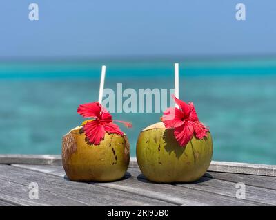 Zwei farbenfrohe Kokosnussgetränke mit Strohhalmen und Sonnenschirmen, nebeneinander auf einer Strandpromenade mit Meereskulisse Stockfoto