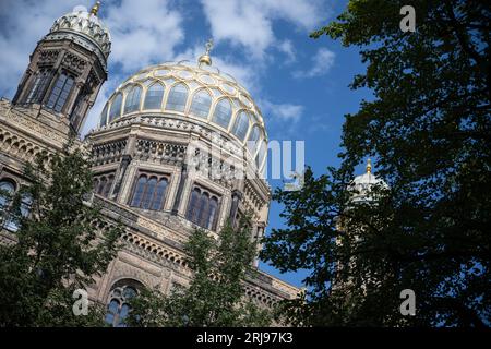 Berlin, Deutschland. August 2023. Das Centrum Judaicum, in dem sich auch die neue Synagoge Berlin und der Sitz der Jüdischen Gemeinde Berlin befinden. (An die dpa: „Schlammschlamm“ vor der Wahl in der Jüdischen Gemeinde Berlin) Credit: Sebastian Gollnow/dpa/Alamy Live News Stockfoto