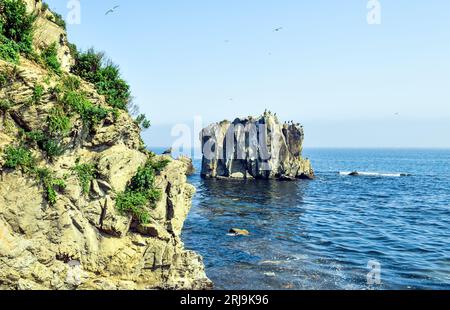 Landschaft des japanischen Meeres mit Felsen an einem sonnigen Sommertag Stockfoto