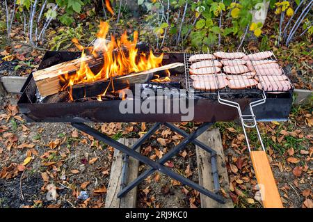 Sausages and bonfire on an autumn barbeque day Stock Photo