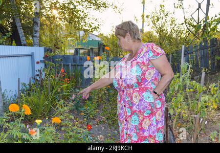 Ältere Frau in floralem Kleid zeigt auf ihre Ringelblumenbeete am Sommerabend im Dorf Stockfoto