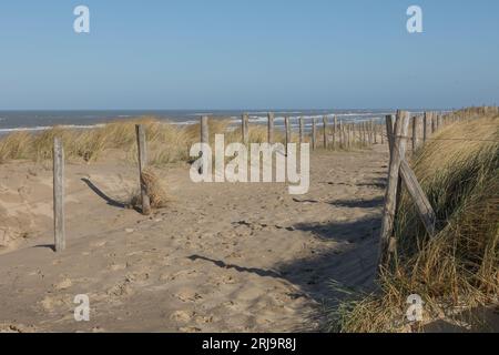 Ein Zaun mit Holzpfählen in einer Dünenlandschaft mit der Küste der niederländischen Nordsee im Hintergrund in der Nähe von Egmond aan Zee Stockfoto