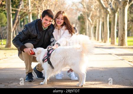 Ein junges weißes Paar spielt mit seinem Hund in einem Park. Stockfoto