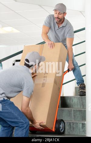 Zwei männliche junge Mover, die eine Kletterbox tragen Stockfoto