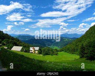 Malerischer Blick auf die Hügel und Berge der Region Gorenjska in Slowenien mit einer großen Wiese umgeben von Wald und einem alten rustikalen Bauernhaus mit einem Turm in Stockfoto