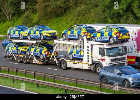 Greater Manchester. UK Business. August 2023. Neue Skoda Polizeifahrzeuge werden auf einem Autotransporter transportiert. Ersatzwagen für die Lancashire Polizei. BMW, der ursprüngliche Lieferant, hat die Lieferung von Polizeiautos an Streitkräfte in ganz Großbritannien eingestellt, nachdem eine Untersuchung erfahren hatte, dass ein PC bei einem Unfall auf der M6 nach einem Motorausfall in seinem Streifenwagen getötet wurde. In den Jahren zuvor hatte es ähnliche Vorfälle mit Polizeiautos mit demselben Motortyp gegeben. Es wurden Fehler in einem Dieselmotor festgestellt, die mit hoher Kilometerleistung und langem Leerlauf des Motors verbunden sind. Credit; ZarkePixs/AlamyLiveNews Stockfoto