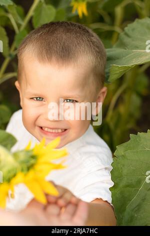 Ein Junge in Sonnenblumen. Porträt eines kleinen, glücklichen und schönen Kindes, in einem weißen Hemd, 4 Jahre alt, im Sommer auf einem Feld mit gelben Sonnenblumen. Nahaufnahme. Stockfoto