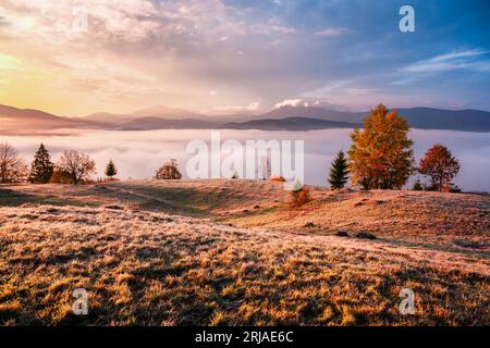 Erstaunliche Szene auf Herbstbergen. Gelbe und orangefarbene Bäume im fantastischen Morgennebel. Karpaten, Europa. Landschaftsfotografie Stockfoto