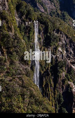 Ein Bild eines kleinen Wasserfalls umgeben von üppiger Pflanzenwelt. Dieses Foto wurde in den Milford Sounds von Neuseeland aufgenommen Stockfoto