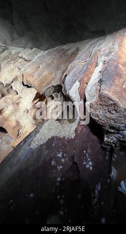 Geologische Formationen in der Höhle Rincon de la Victoria Stockfoto