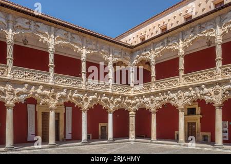 Palast der Herzöge des Infantados im elisabethanischen gotischen Stil mit Renaissance-Elementen in der Stadt Guadalajara, Castilla la Mancha, Spanien. Stockfoto