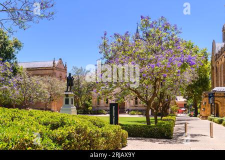 Adelaide, South Australia - 28. Dezember 2022: Campus-Gebäude der University of Adelaide mit einem Denkmal und Jacarandablüten in ganz G Stockfoto