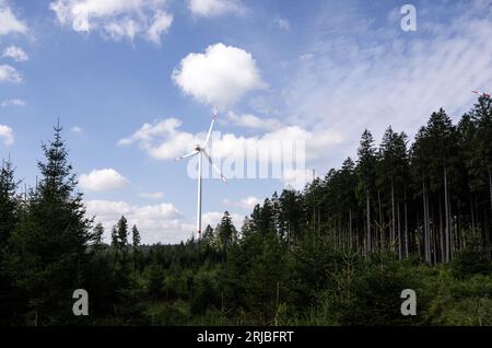 Simmerath, Deutschland. August 2023. Auf dem Gelände eines kommunalen Windparks im Wald steht während eines Besuchs von Bundeskanzler Scholz (SPD) und Ministerpräsident Wüst (CDU) eine Windkraftanlage. Die kleine Stadt mit mehr als 15.000 Einwohnern macht Gewinne, indem sie das Waldland in gemeinschaftlichem Besitz an den Betreiber vermietet. Ein Teil der Einnahmen fließt in den kommunalen Haushalt und ermöglicht niedrige Immobilien- und Gewerbesteuern. Quelle: Bernd Thissen/dpa/Alamy Live News Stockfoto