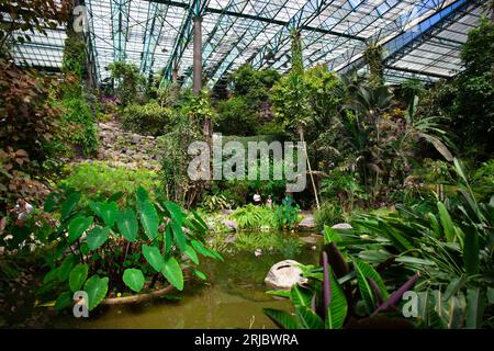 Lissabon, Portugal, 30. Juli 2023: Teich im Estufa Fria Gewächshaus, Gärten im Eduardo VII Park Stockfoto