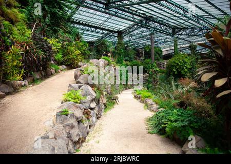 Lissabon, Portugal, 30. Juli 2023: Greenhouse The Estufa Fria, Gärten im Eduardo VII Park Stockfoto