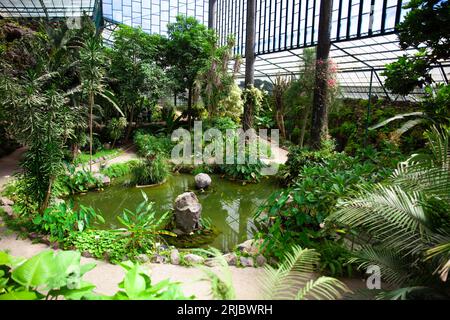 Lissabon, Portugal, 30. Juli 2023: Teich im Estufa Fria Gewächshaus, Gärten im Eduardo VII Park Stockfoto