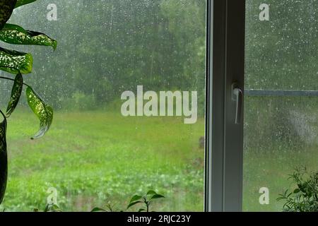 Regentropfen in einem Fensterbereich. Regentropfen auf transparentem Glas auf grünem Hintergrund. Weichzeichner. Das Konzept von Traurigkeit, schlechter Stimmung, nass. Grauer Himmel. Regnerischer Sommer Stockfoto