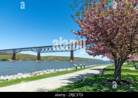 Poughkeepsie, NY, USA, Mai 2022; Blick von der Waryas Park Promenade mit lila blühendem Baum auf den 1,28 miles Walkway über den Hudson State His Stockfoto