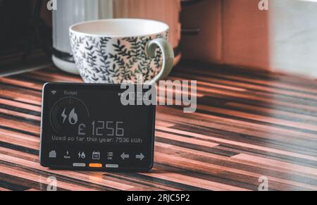 Intelligenter Zähler für Gas und Elektrizität Stockfoto