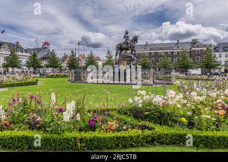 Kongens Nytorv Krinsen Platz mit wilden Blumen im Zentrum von Kopenhagen Stockfoto