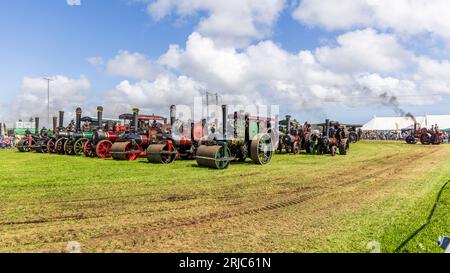 Die West of England Steam Engine Society, Rally, Stithians Show Ground. Stockfoto