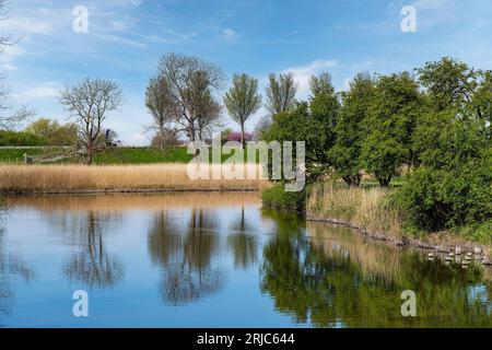 Blick auf das ruhige Wasser eines Kanals oder Flusses entlang eines Deichs in den Niederlanden mit Bäumen und Schilfbetten, die sich im Wasser vor einem blauen Himmel spiegeln Stockfoto