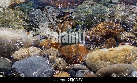 Bunte Kieselsteine am Meer Stockfoto