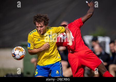 Broendby, Dänemark. August 2023. Joe Bell (7) von Broendby IF bei einem Testspiel zwischen Broendby IF und FC Nordsjaelland in Bane 1 in Broendby. (Foto: Gonzales Photo - Teis Markfoged). Stockfoto