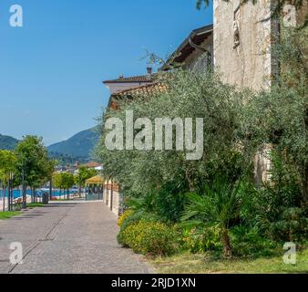 Sonnige Landschaft rund um Salo, eine Stadt und Gemeinde am Gardasee in Norditalien Stockfoto