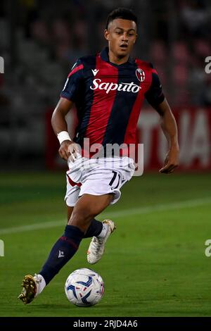 Dan Ndoye von Bologna FC in Aktion während des Fußballspiels der Serie A zwischen Bologna FC und AC Mailand im Renato Dall'Ara Stadion in Bologna (Italien), August Stockfoto