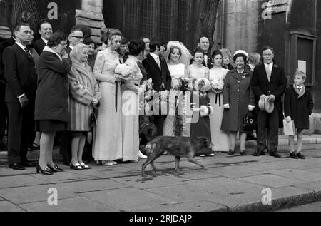 Hochzeitsgruppe aus den 1970er Jahren, die kurz vor dem Fotografieren auf einen streunenden Hund wartet, der vorbeiläuft, bevor das offizielle Foto des glücklichen Paares gemacht wird. Sie stehen vor der Allerheiligen-Kirche, wo die Hochzeitszeremonie stattfand. Notting Hill, London, England 1970 Vereinigtes Königreich HOMER SYKES Stockfoto