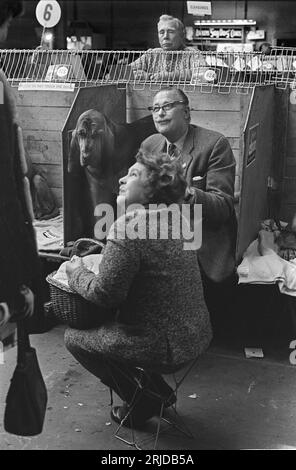 Crufts Dog Show 1960s UK. Olympia Ausstellungszentrum. Ein Preis Bloodhound vergrößert den Picknickkorb seiner Besitzer bei der jährlichen Crufts Dog Show. Earls Court, London, England, Februar 1968. HOMER SYKES. Stockfoto