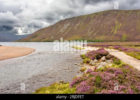 Loch Muick Ballater Balmoral Estate Schottland im Sommer fließt Wasser in den Fluss Muick Stockfoto