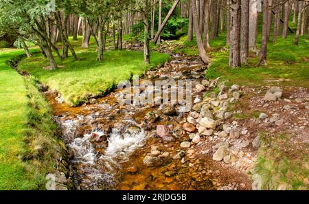 Loch Muick Ballater Balmoral Estate Scotland der Bach, der im Sommer an Glas allt Shiel House vorbeifließt Stockfoto